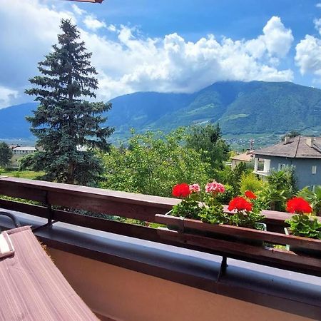 Nora S Home 1 - Panoramic Terrace & Bio Garden メラーノ エクステリア 写真